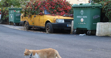 Sarmaşıklara Karışan Araç İzmir'de Kaldırıldı