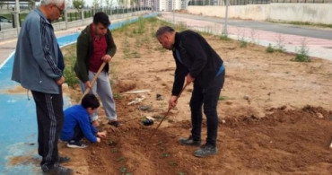 Sebze Fiyatlarını Fazla Bulan Vatandaşlar Sitenin Önüne Sebze Ekmeye Başladı