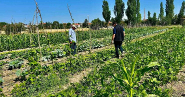 Sebze üretim alanlarında kontroller sürüyor