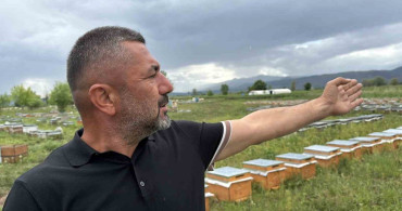 Sel ve Soğuk Arasında Mahsur Kalan Gezgin Arıcıların Zorlu Mücadelesi