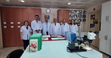 Selçuk Üniversitesi'nden Yeni Bitki Türü Keşfi