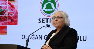 SETBİR'in Yeni Başkanı: Fatma Can Sağlık