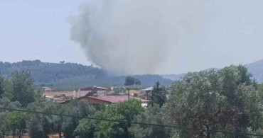 Seydikemer'de orman yangınına müdahale sürüyor