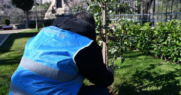 Şeyh Edebali Külliyesi'nde Temizlik Faaliyetleri