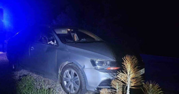 Seyir Halindeki Otomobile Geyik Çarptı: İki Yaralı