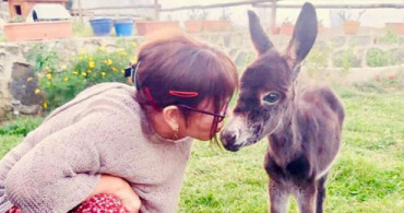 Sezen Aksu'dan Sıpa Açıklaması: O Deli Ben Değilim