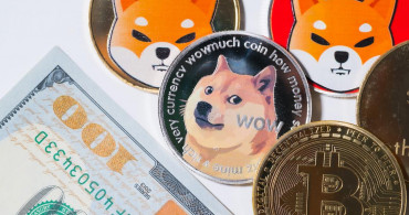 Shiba Inu Neden Düşüyor, Shiba Inu Yükselir mi?