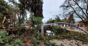 Şiddetli Fırtına Tavas'ta Hayatı Olumsuz Etkiledi