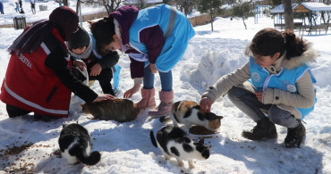 Siirt'te Akran Zorbalığına Karşı Farkındalık Projesi