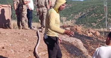 Siirt’te çıkan yangın ekiplerin müdahalesiyle kontrol altına alındı