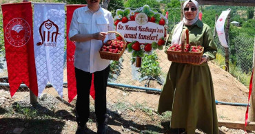 Siirt’te çilek hasadı programı gerçekleştirildi