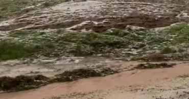 Siirt'te Dolu Yağışı Tarım Alanlarına Zarar Verdi