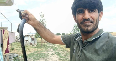 Siirt'te evine giren yılanı çıplak elle yakaladı