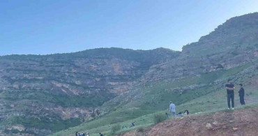 Siirt'te Kayalıklardan Düşen Kişi Hayatını Kaybetti