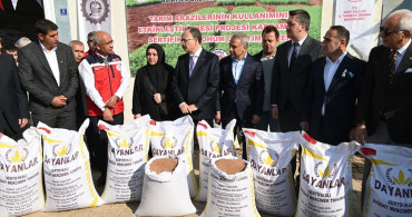 Siirt'te Kırmızı Mercimek Tohumu Dağıtımı Başladı