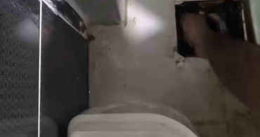 Siirt’te lavabo gider borusuna sıkışan 2 yavru kedi kurtarıldı