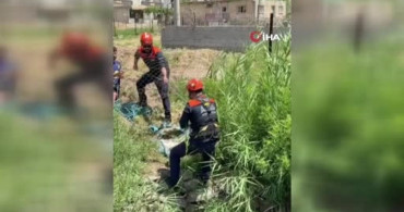 Siirt’te su kuyusuna düşen köpek kurtarıldı