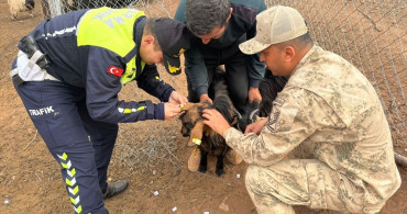 Siirt'te Trafik Güvenliği için Reflektörlü Bant Uygulaması
