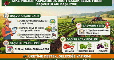 Siirt'te Ücretsiz Sebze Fideleri İçin Başvuru Dönemi