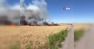 Siirt’te yüzlerce dönüm buğday arazisi yangında zarar gördü