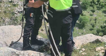 Siirt'teki Keçi Kurtarma Operasyonu: ERKUT Ekibi 8 Gün Sonra Başarıyla Ulaştı