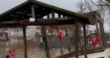 Şile'de Şiddetli Yağmur Su Baskınlarına Yol Açtı