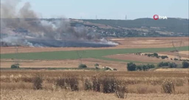 Silivri'de arpa tarlasında yangın çıktı