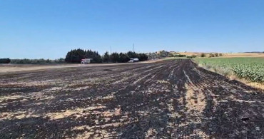 Silivri'de elektrik direği kesimi sırasında yangın çıktı, tarım arazileri zarar gördü