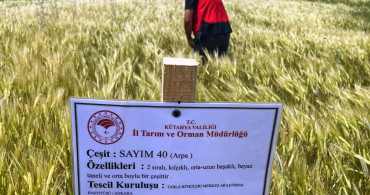Simav'da arpa demonstrasyonlarında kontroller devam ediyor