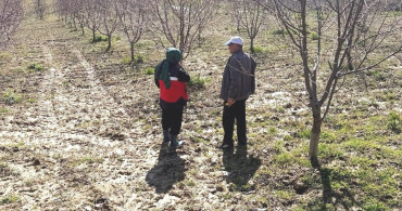 Simav'da Üreticilere Dondan Korunma Uyarısı