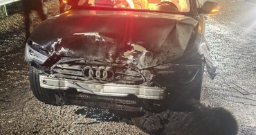 Sinop Belediye Başkanı'nın Makam Aracına Domuz Sürüsü Çarptı