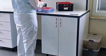 Sinop Ormanları İçin Biyolojik Mücadele Güçlendiriliyor