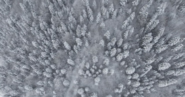 Sinop Ormanlarında Büyüleyici Kar Manzarası