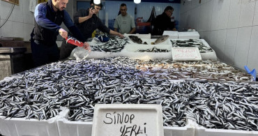 Sinop'ta Hamsi Fiyatları Düşüyor