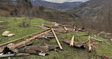 Sinop'ta Kuvvetli Rüzgar Arılığa Zarar Verdi