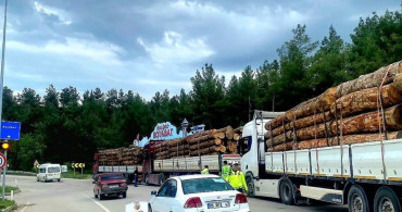 Sinop'ta orman emvali nakilleri denetimi