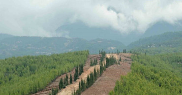 Sinop'ta Orman Yangınlarına Karşı Dirençli Yapı Oluşturuluyor