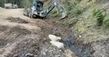 Sinop'ta Taşkın Önleme Çalışmaları Hız Kesmeden Devam Ediyor
