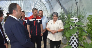 Sinop'ta Yeni İstiridye Mantarı ve Dikey Tarım Tesisleri Açıldı