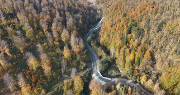 Sinop'un Türkeli İlçesinde Sonbaharın Renk Cümbüşü