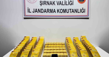 Şırnak'ta Jandarma Operasyonları: Kaçakçılığa Geçit Yok