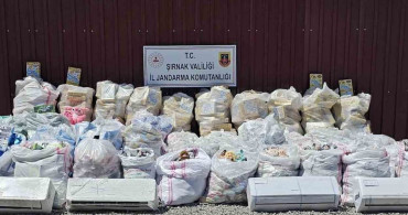 Şırnak’ta jandarmadan asayiş ve kaçakçılık operasyonu: 94 şüpheli hakkında adli işlem yapıldı