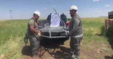 Şırnak'ta Leylekler İçin Güvenli Yuva Projesi