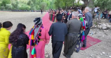 Şırnak'ta yüz yıllardır süren gelenek: başlara takılan puşiler, düğünlere renk katıyor