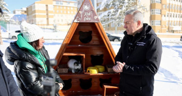Sivas Belediyesi Kışın Sokak Kedilerini Unutmuyor
