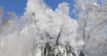 Sivas'ın Gemerek İlçesinde Soğuk Hava ve Don Olayı