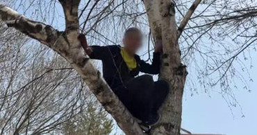 Sivas'ta Ağaçta Kalan Çocuğa İtfaiye Yardımı