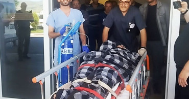 Sivas’ta ayı saldırısına uğrayan vatandaş kangal köpeklerinin yardımıyla kurtuldu