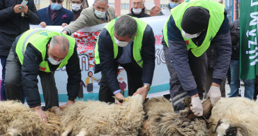 Sivas'ta İstanbul Sözleşmesi'nden Çıkılmasına Şükür Kurbanı Kesildi