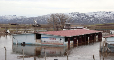 Sivas'ta Kangal Köpeği Çiftliği Su Baskınına Maruz Kaldı